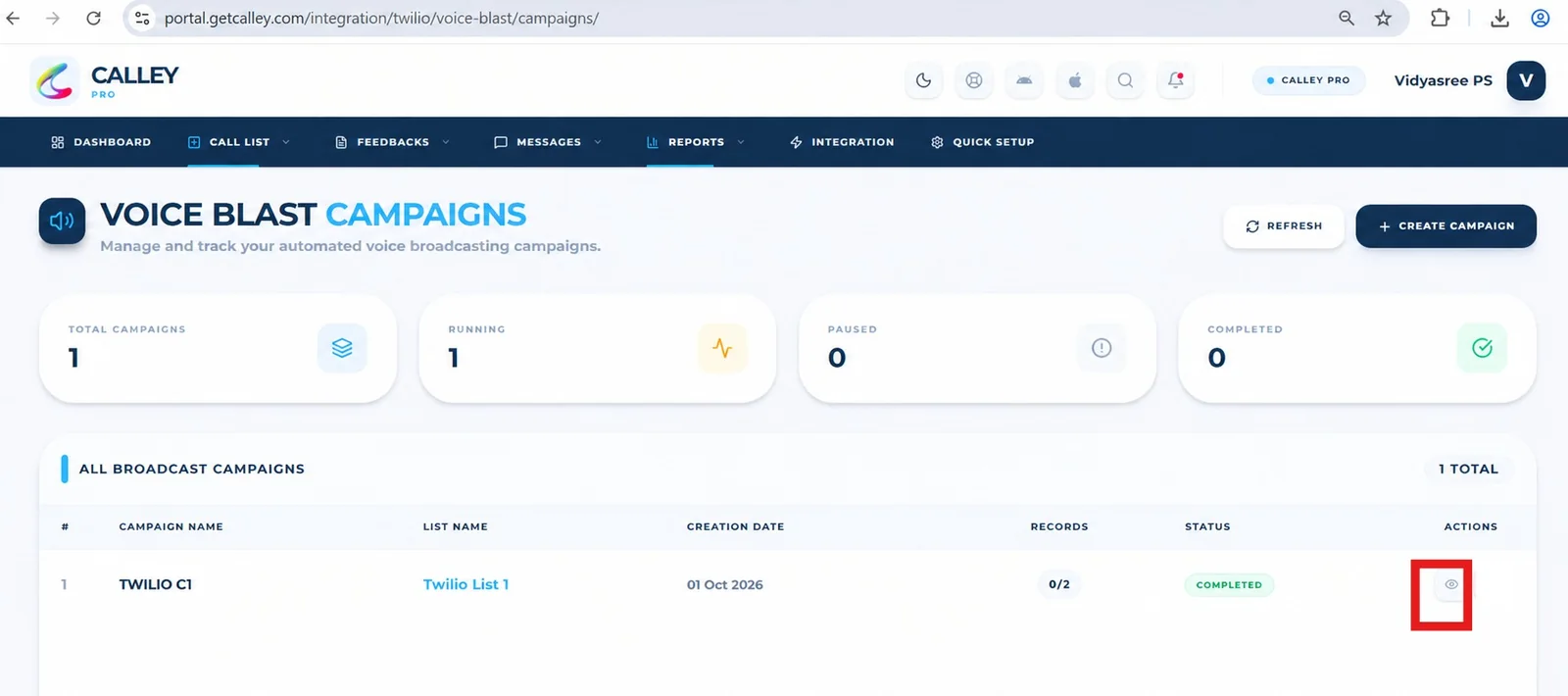 View button next to the completed campaign